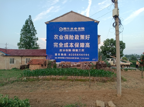 漯河墙体广告的优劣势你知道吗？