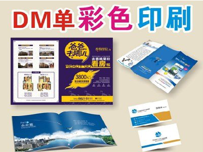 漯河单页印刷，色彩搭配简单。